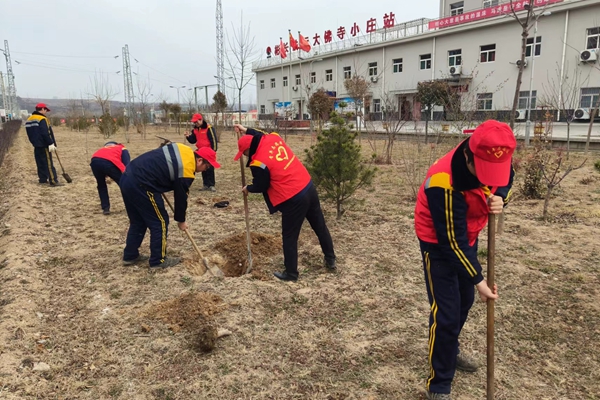 义务植树活动_副本.jpg