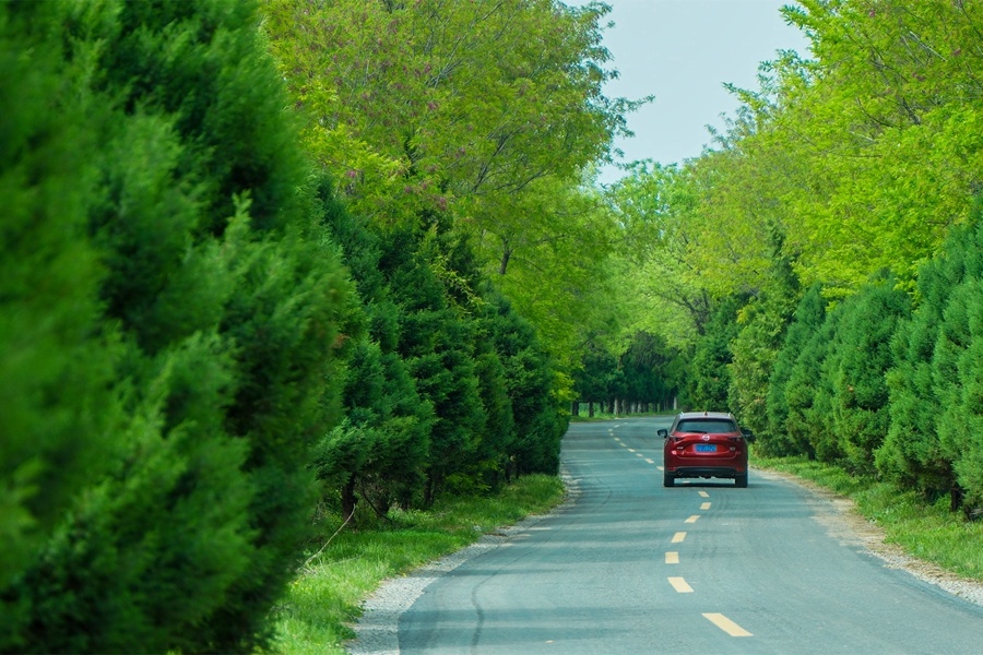 林间山路